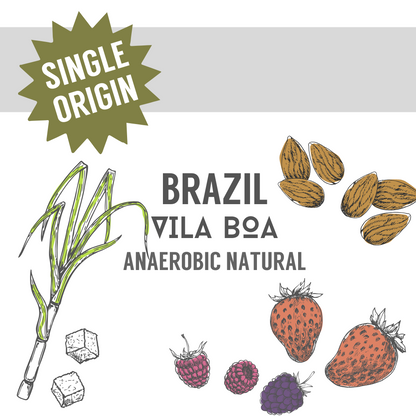 Brazil Vila Boa Anaerobic Natural