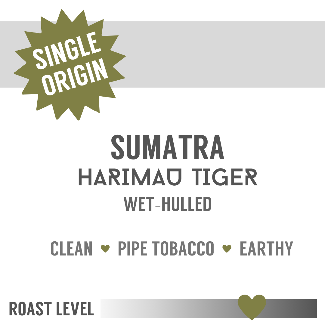 Sumatra Harimau Tiger