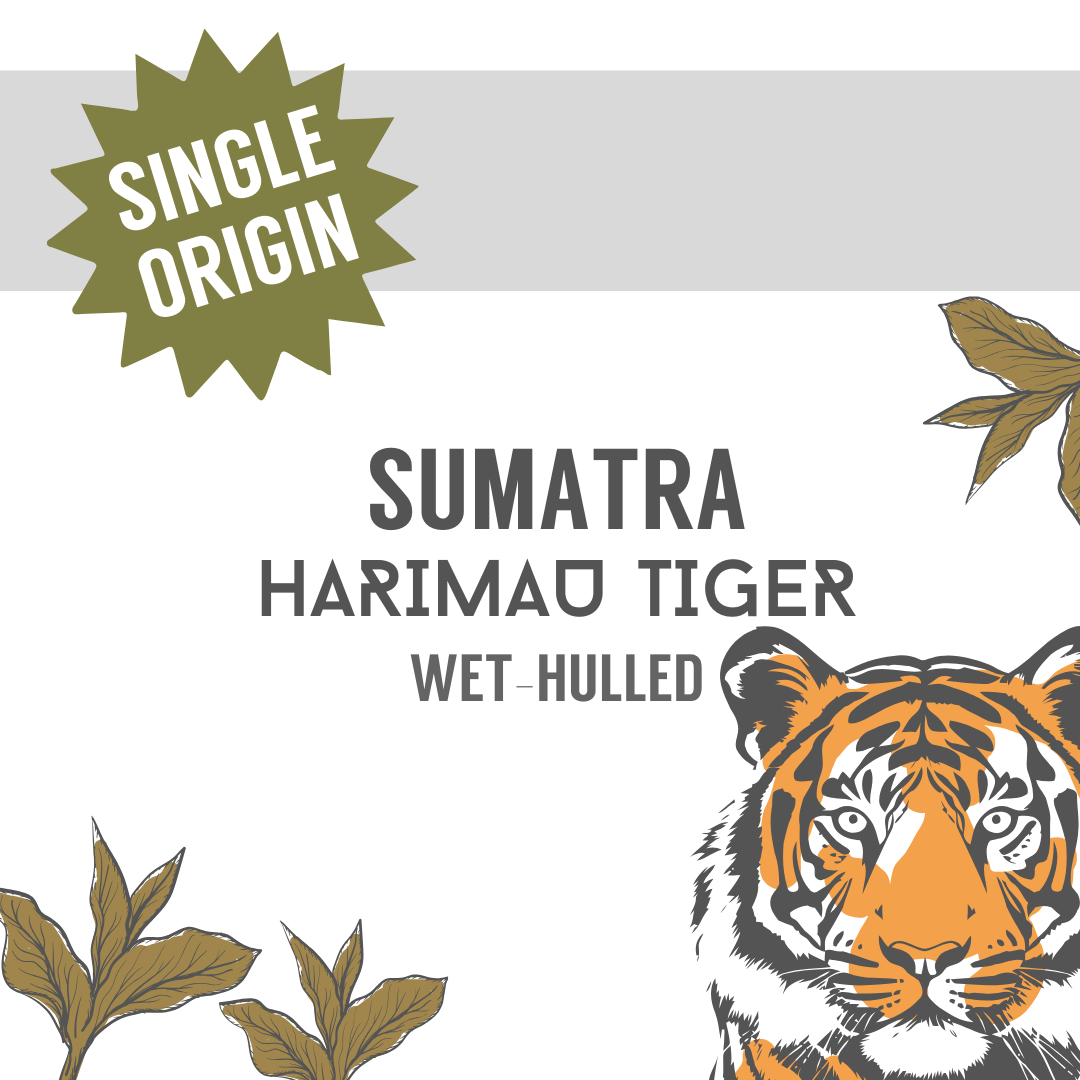 Sumatra Harimau Tiger